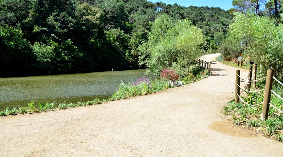 istanbul atatürk kent ormanı