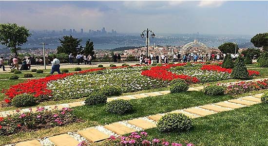 çamlıca tepesi laleler